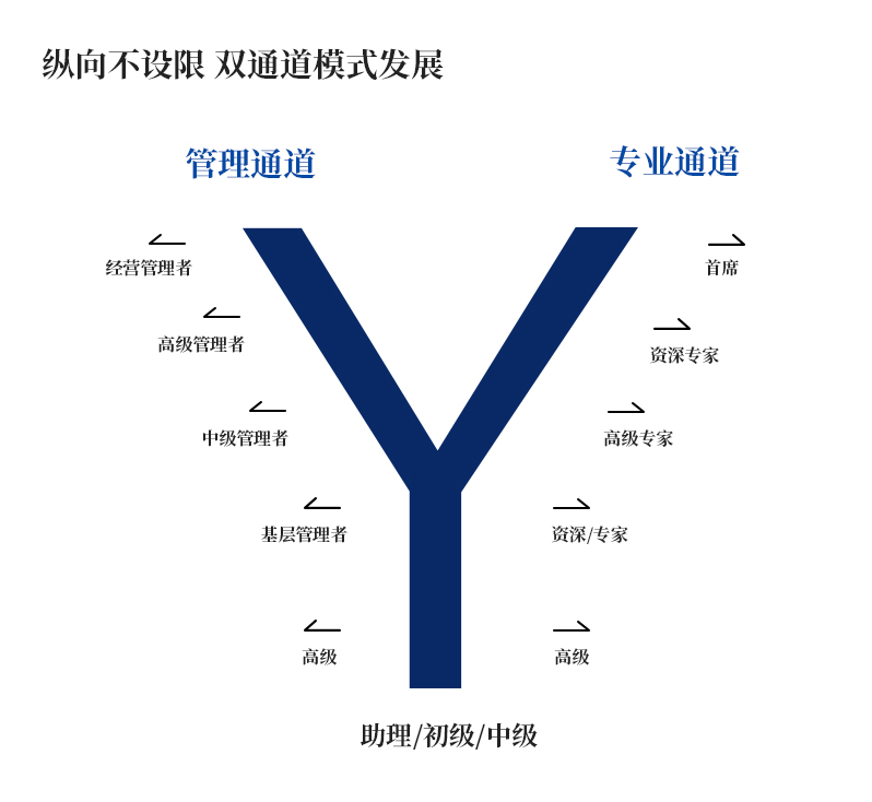 同藥集團有限公司官網(wǎng)